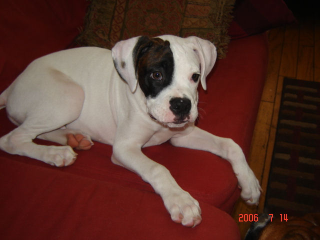 15 weeks and already 25.5 lbs..haha