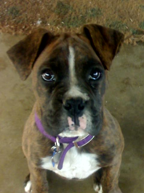 15 weeks old