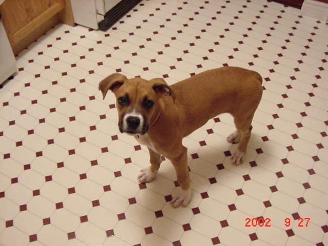 15 weeks old