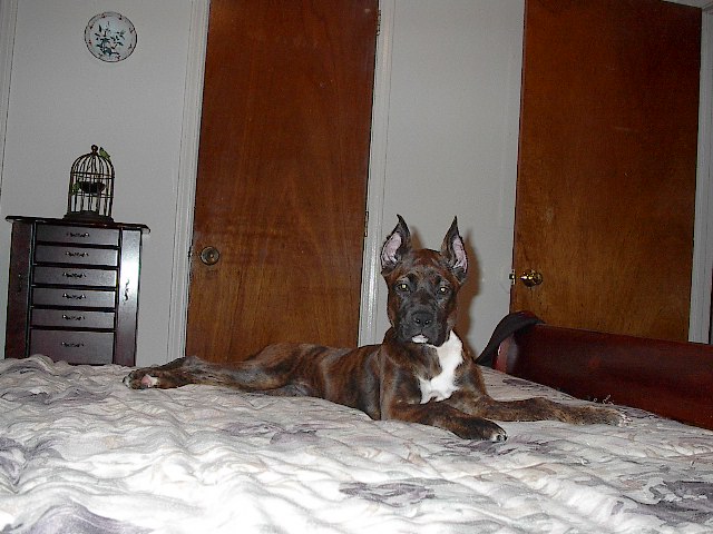 16 weeks