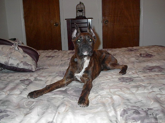 16 wks old