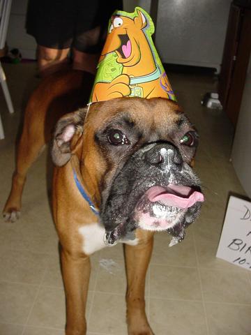 1st b-day after cake