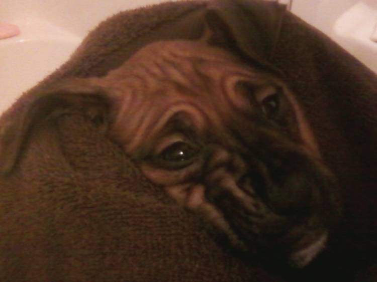 1st Bath