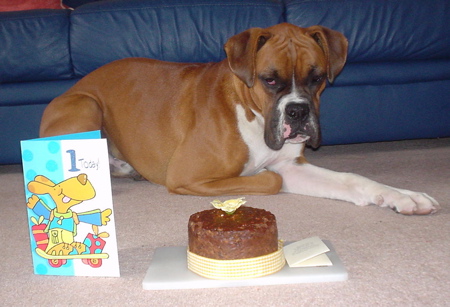 1st Birthday