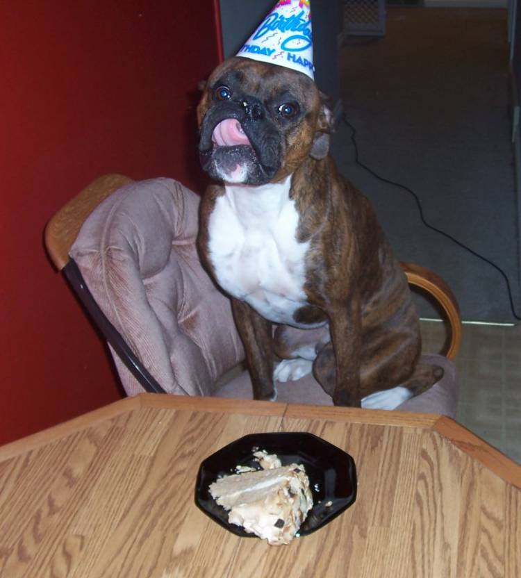 1st Birthday