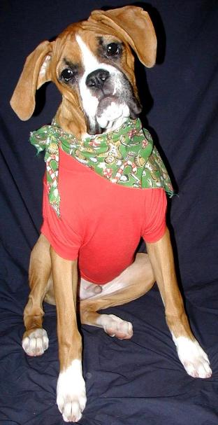 1st Christmas
