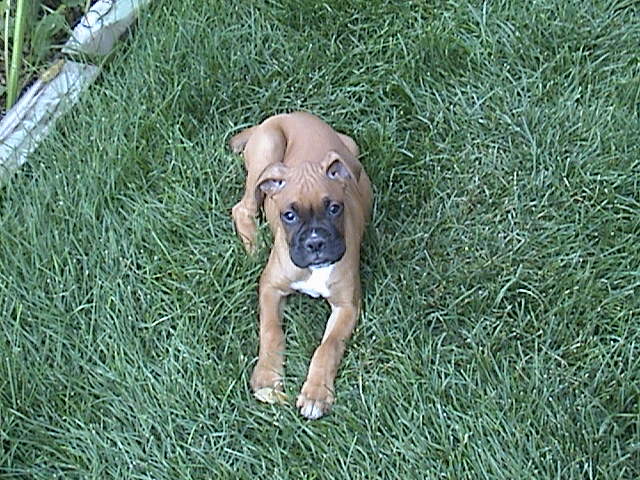 1st day at home
