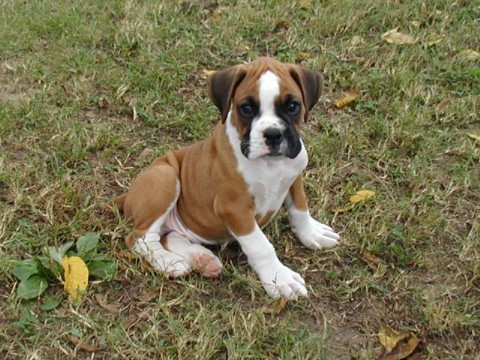 1st day home!