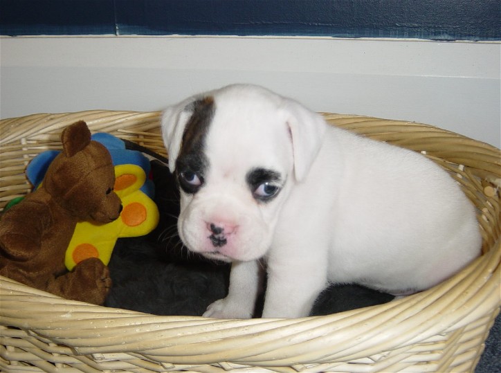 1st day home