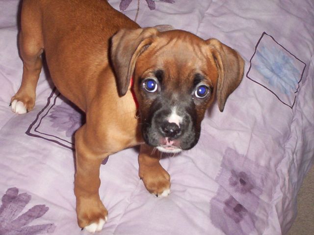 1st Day Home