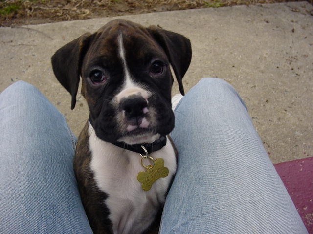 1st Day home