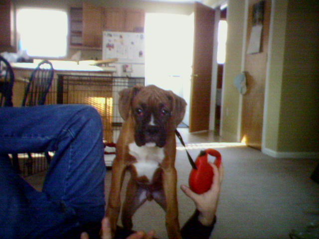 1st day home