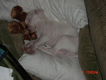 1st nap at home.