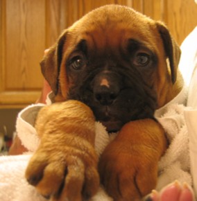 1st night, 1st bath