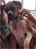 1st Prize - Biggest Tongue Contest