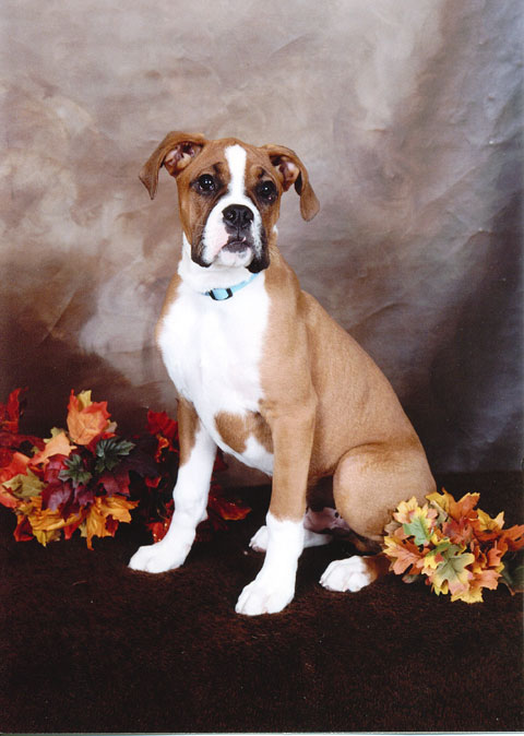 1st Professional photoshoot