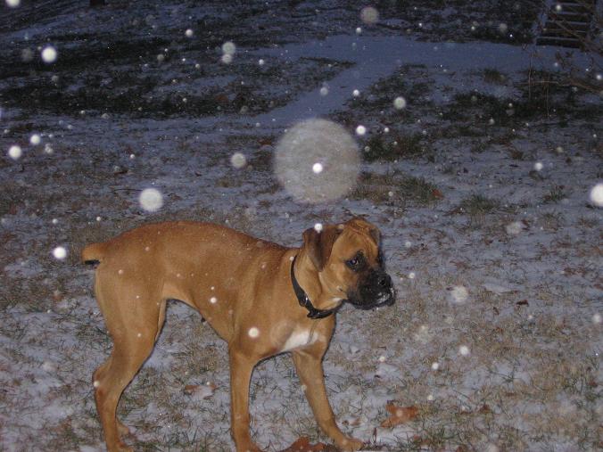 1st Snow for Madi