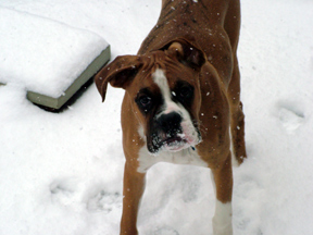 1st snow