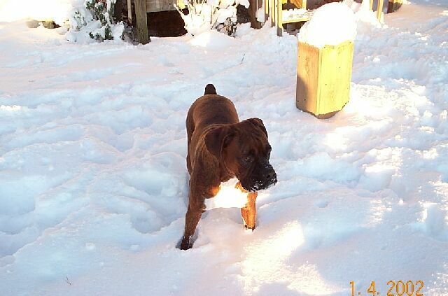 1st snow