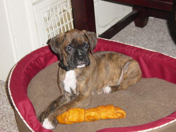 2 months old - 2nd day at home