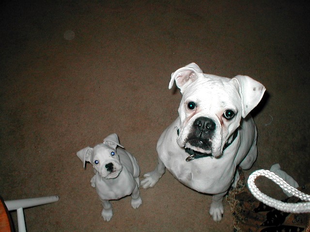 2 Muggs