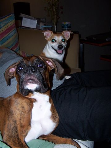 2 peas in a pod!