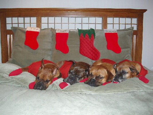 2004 Christmas