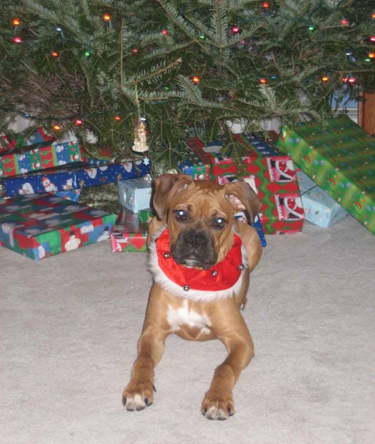 2005 Christmas Card Photo