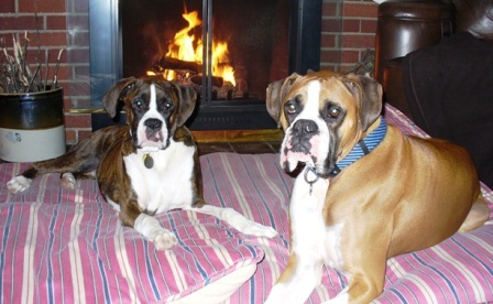 2006 Christmas card
