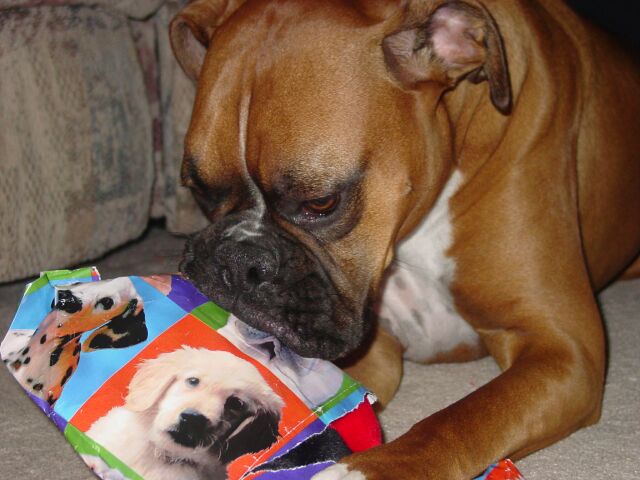 2nd Birthday (2)