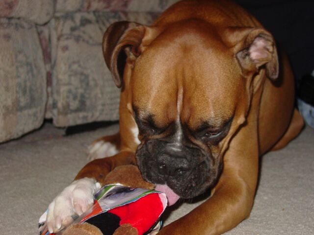 2nd Birthday (3)