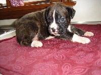 3 week baby