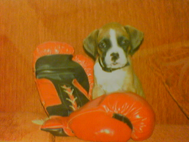 38 days old