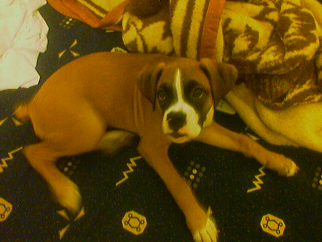 3months old already