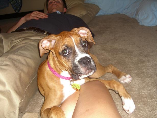 4 Months Old