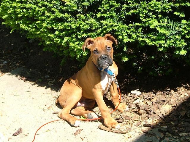 4 Months Sitting Pretty