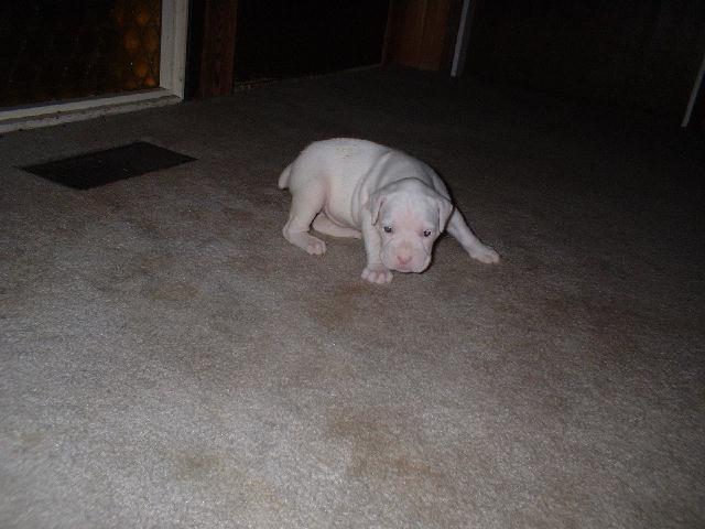 4 Weeks