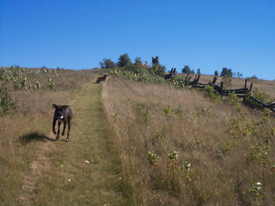 400 acres of fun