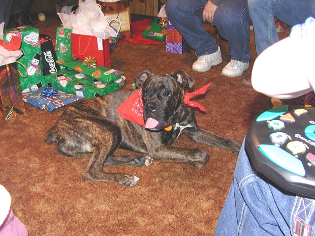 4by's christmas