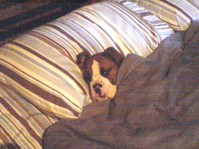 5 more minutes