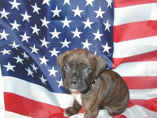 5 weeks old