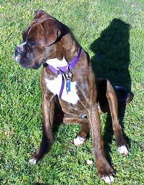 6 months old