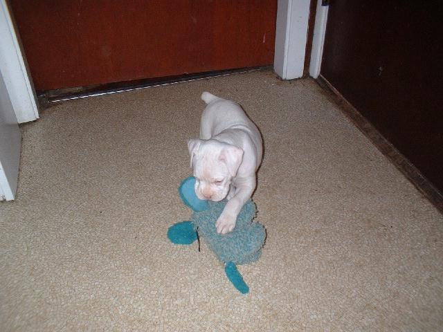6 Weeks