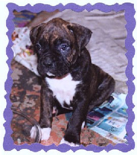 6 weeks  :-)