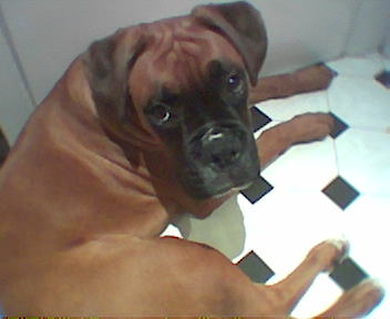 6monthsbath