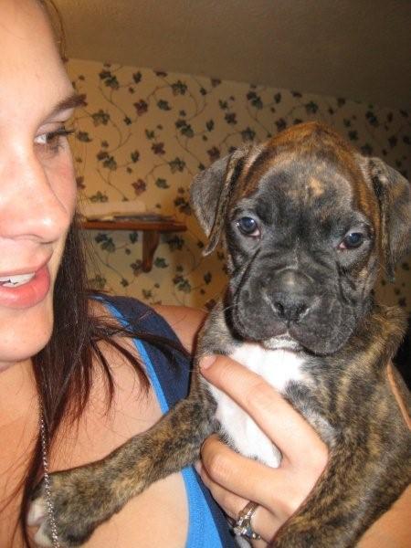 6wks old