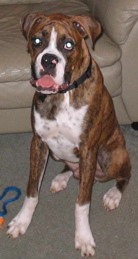 7 months old