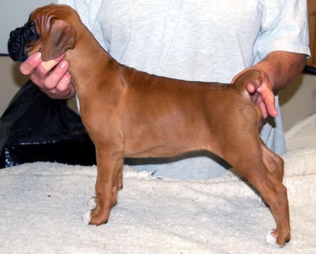 7Weeks Old
