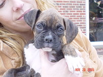 7weeks
