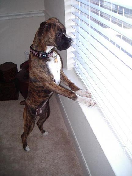 8 months- looking out the window